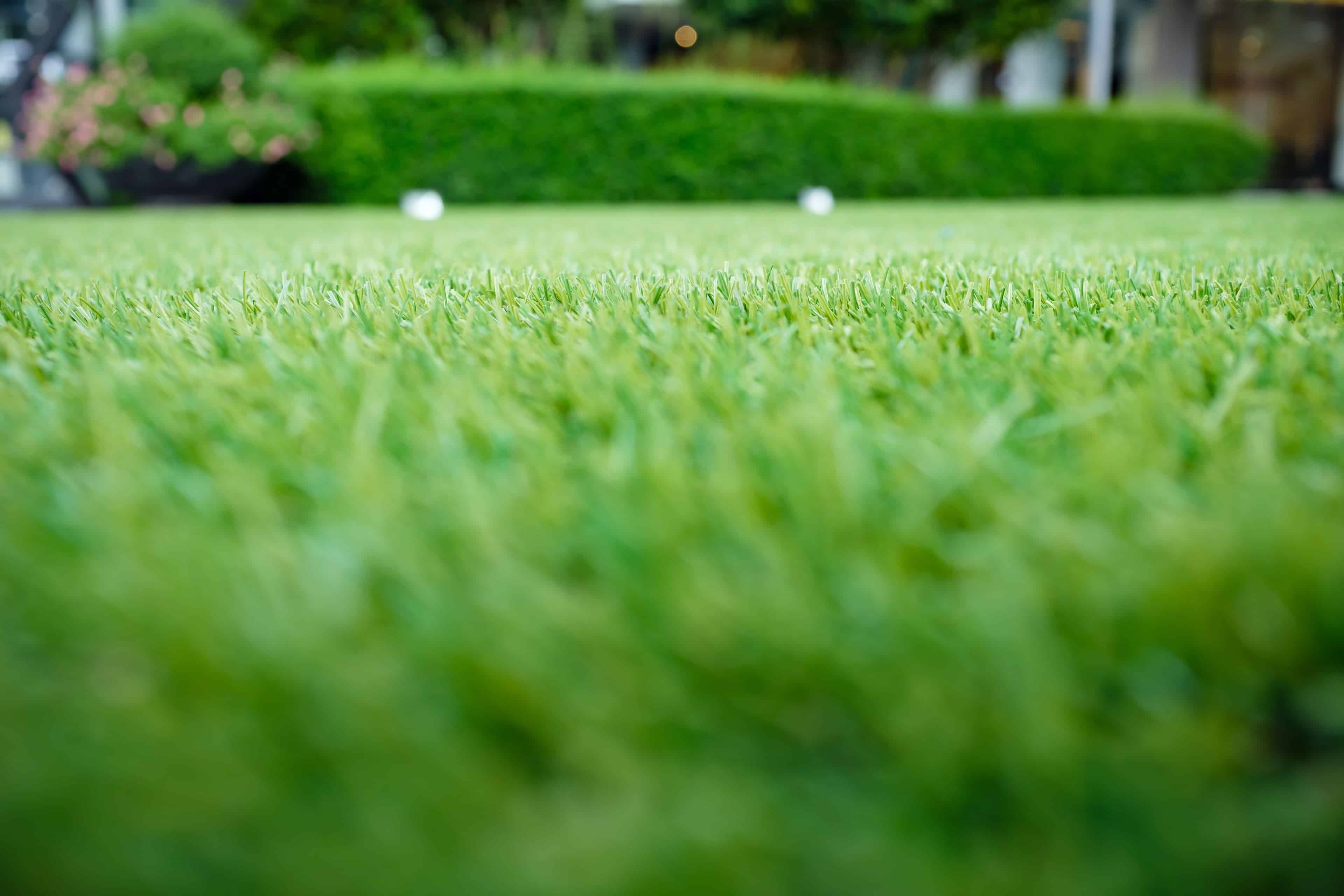 Sod Installation image